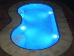 Bean Shaped Pool Manufacturer in Bangalore