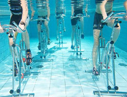 Wetfit Aqua Gym Manufacturer in Bangalore